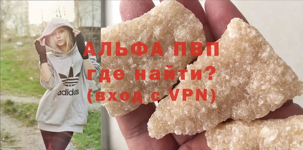 PSILOCYBIN Вязники