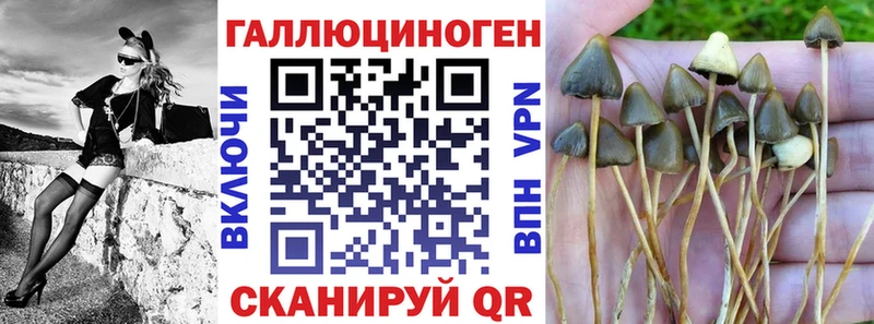 Галлюциногенные грибы Cubensis  мега ссылки  Карабулак 
